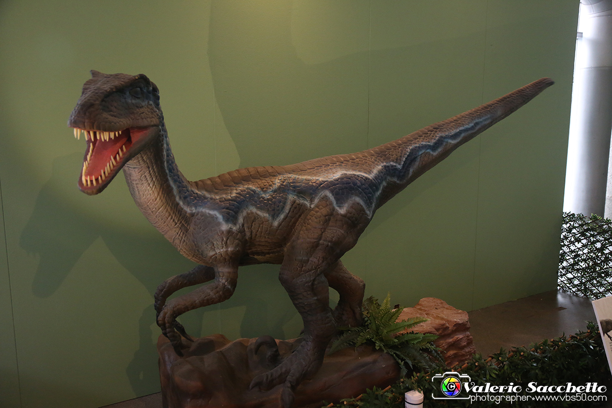 VBS_0883 - Dinosauri. Terra dei giganti.jpg